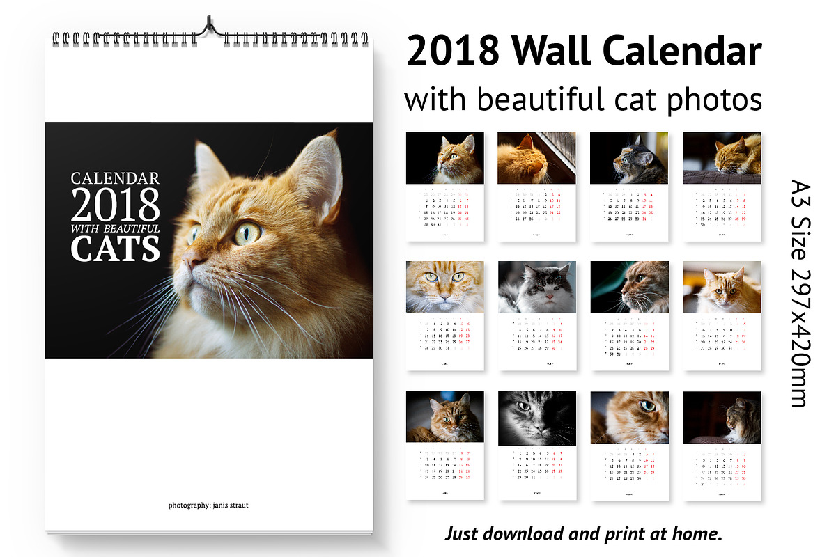 Calendar A3 for 2018 with cats., a Stationery Template by JS Shop (Photo 1 of 4)
