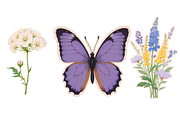 Botanical Bug Clipart Set, an Object Illustration by Jakayla Digital Co (Thumbnail 2 of 7)