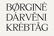 Gurnie Serif Fonts, a Serif Font by Yukita Creative (Thumbnail 3 of 10)