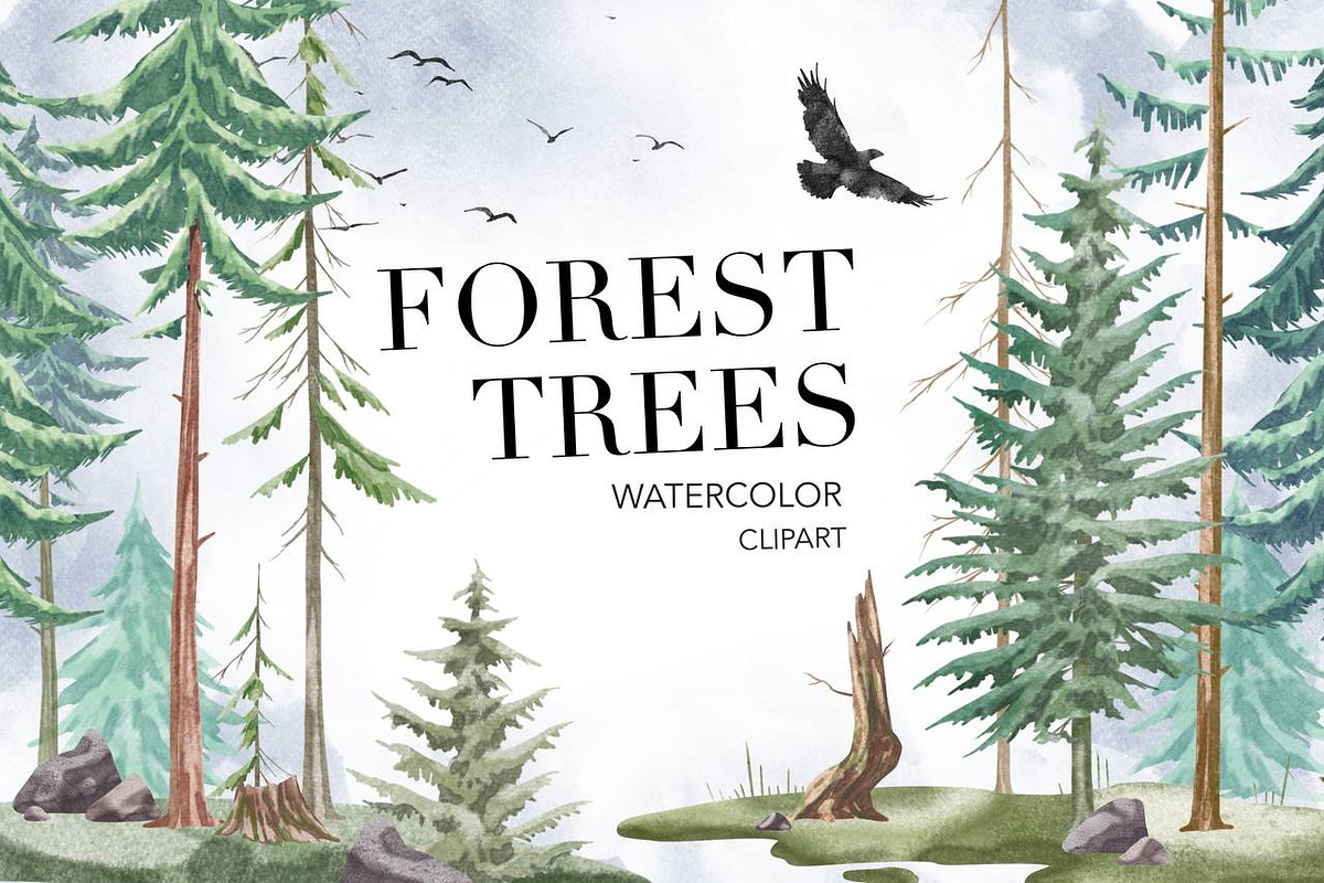 Forest Watercolor Woods Pine Tree, an Illustration by NKTKNS (Photo 1 of 7)