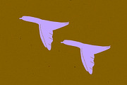 Animal hand-drawn elements, an Object Illustration by StudioSonna (Thumbnail 4 of 6)