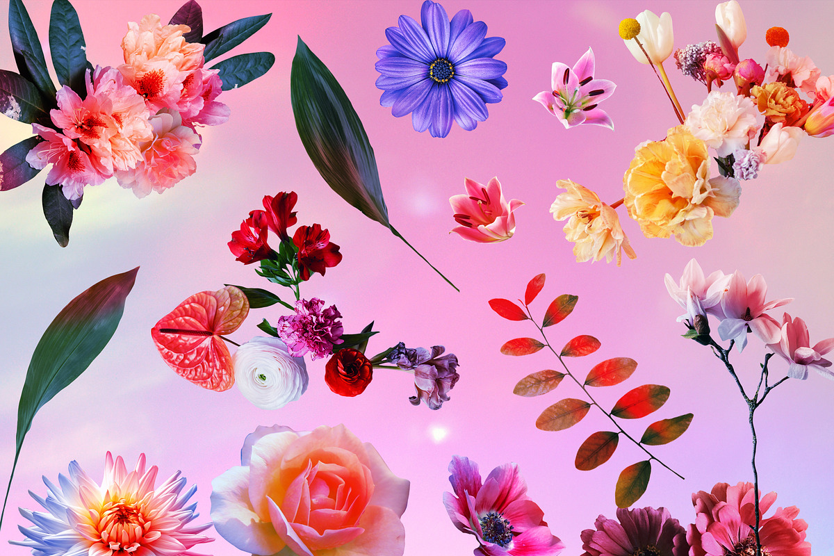 MODERN COLLAGE PORTRAITS, an Object Graphic by Natali Batu (Photo 13 of 20)