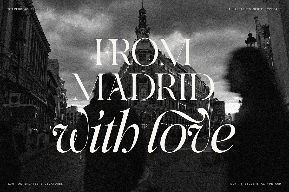 Netsera Calligraphic Serif Typeface, a Serif Font by SilverStag Type Foundry (Photo 30 of 30)