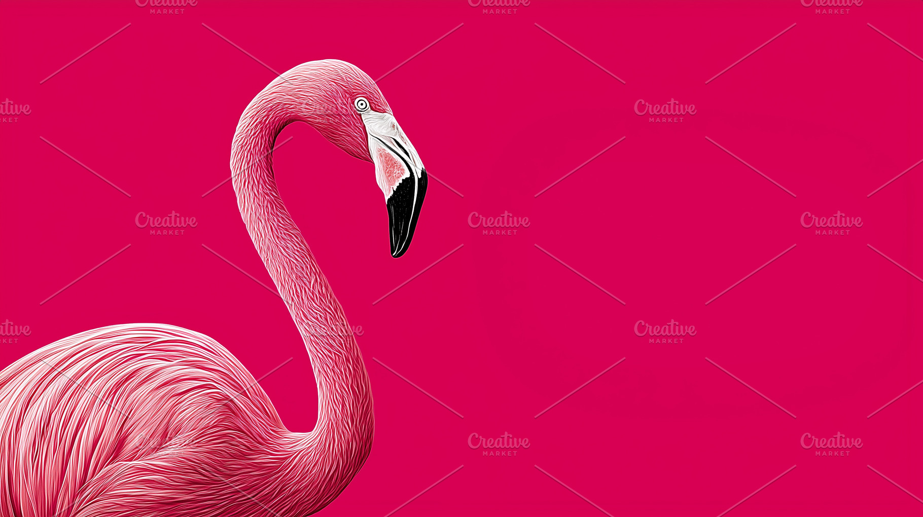 Pink flamingo on a vibrant magenta, an Animal Photo by MistyDay