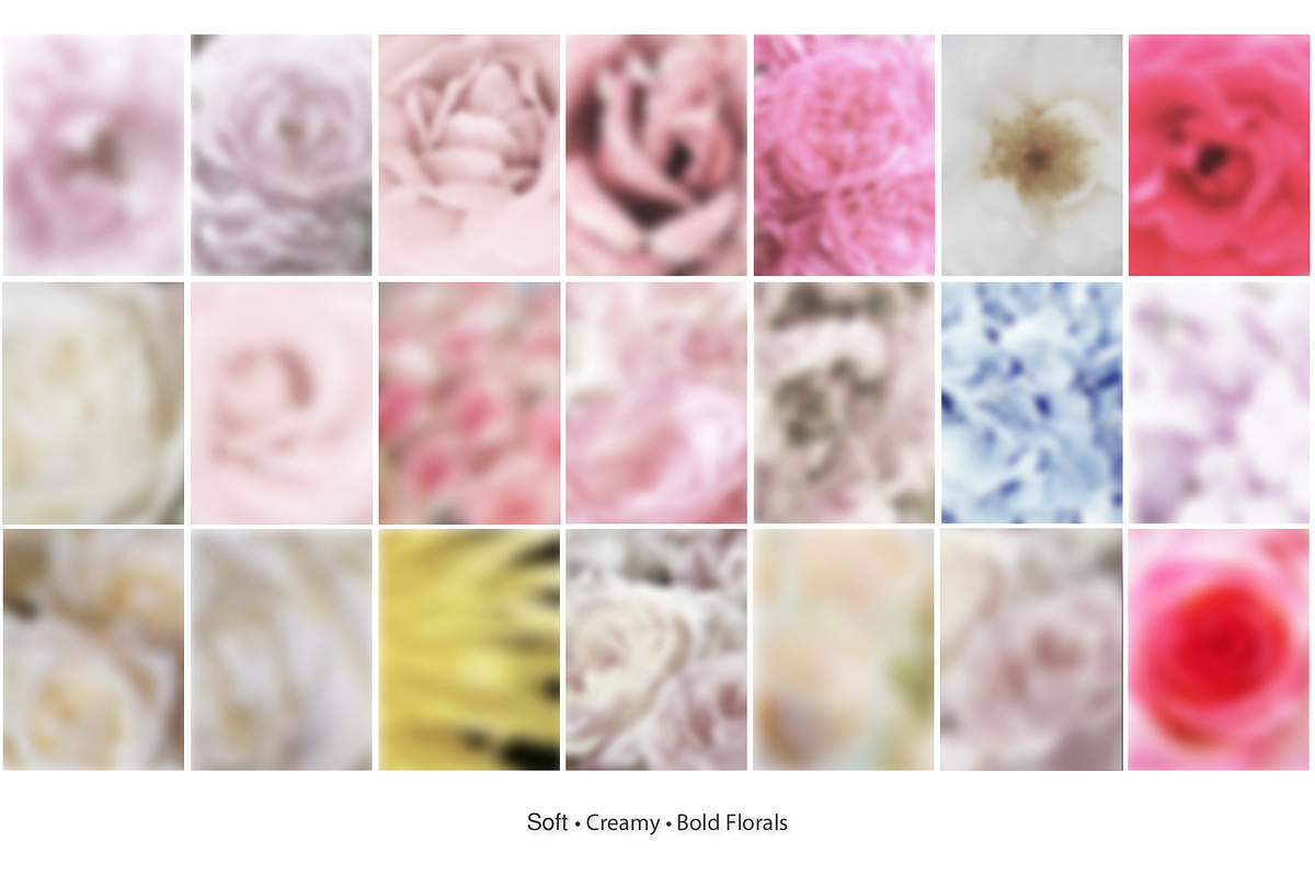 65 Soft Bloom Blur Backgrounds., a Background Graphic by TaPilipa (Photo 5 of 9)