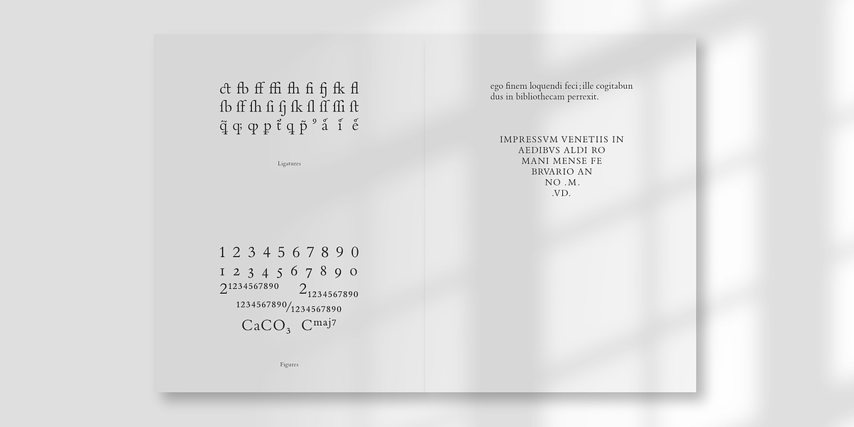 De Aetna Regular Pro, a Serif Font by Rudolf Horaczek (Photo 4 of 7)