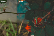 Orange and Teal Cinematic LUTs Pack, a Plug-in Add-On by Maple Visuals (Thumbnail 3 of 7)