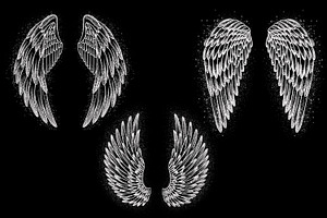 Angel Wings Stamps For Procreate