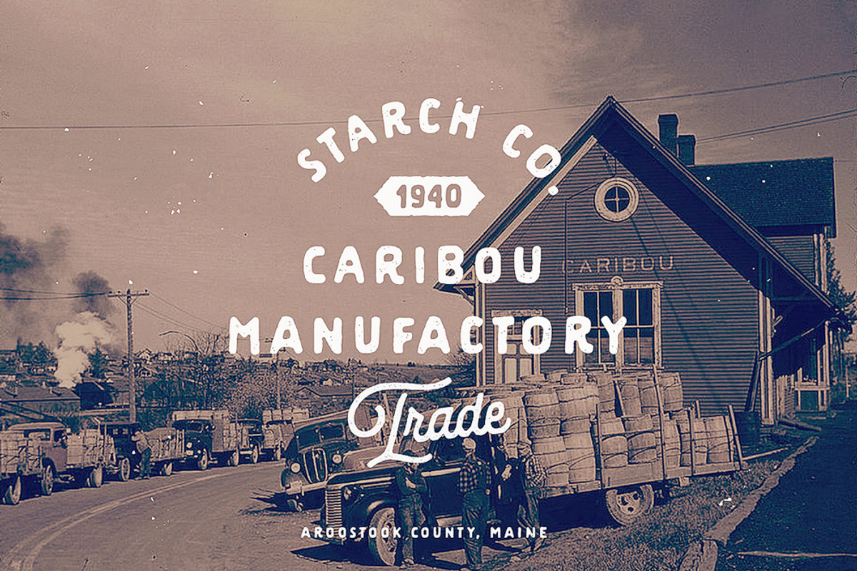 Americus Script & Sans, a Script Font by Andrey Sharonov (Photo 6 of 10)