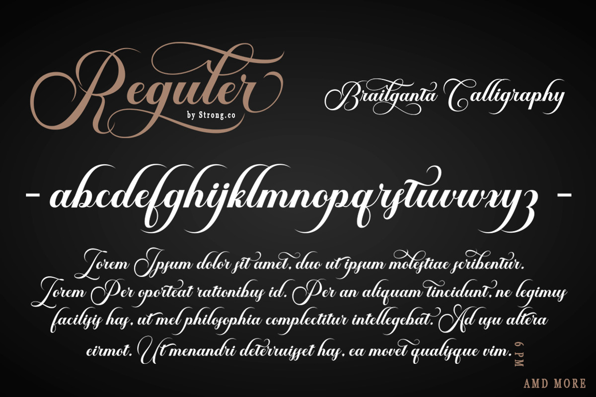 Brailganta Script, a Script Font by Strong.co (Photo 3 of 12)