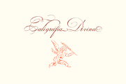 Indenture English Penman, a Script Font by Intellecta Design (Thumbnail 4 of 5)