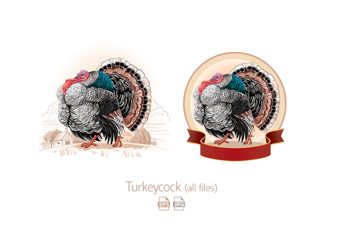 Farm birds set, an Animal Illustration by Countryside life (Photo 11 of 12)