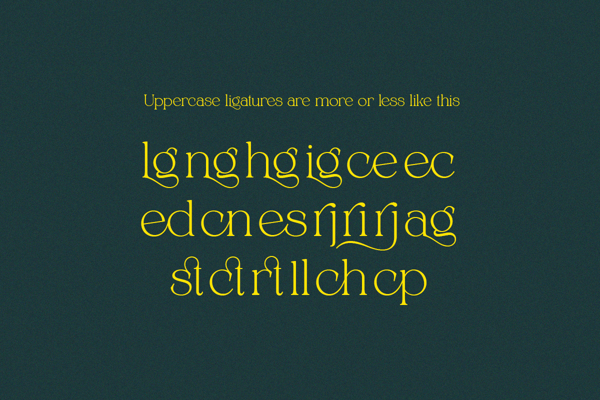 Alpinecia, a Serif Font by Pista Mova (Photo 16 of 19)