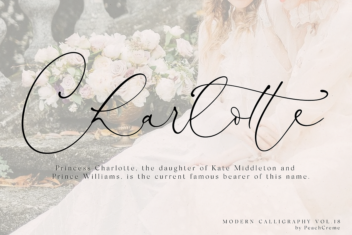 Antoinette//Modern Calligraphy №18 preview 7