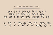 Sofimaria | Elegant Modern Serif, a Serif Font by Qaratype (Thumbnail 19 of 19)