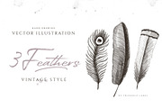 3 FEATHERS ILLUSTRATIONS, an Illustration by Friendly Label (Thumbnail 1 of 2)