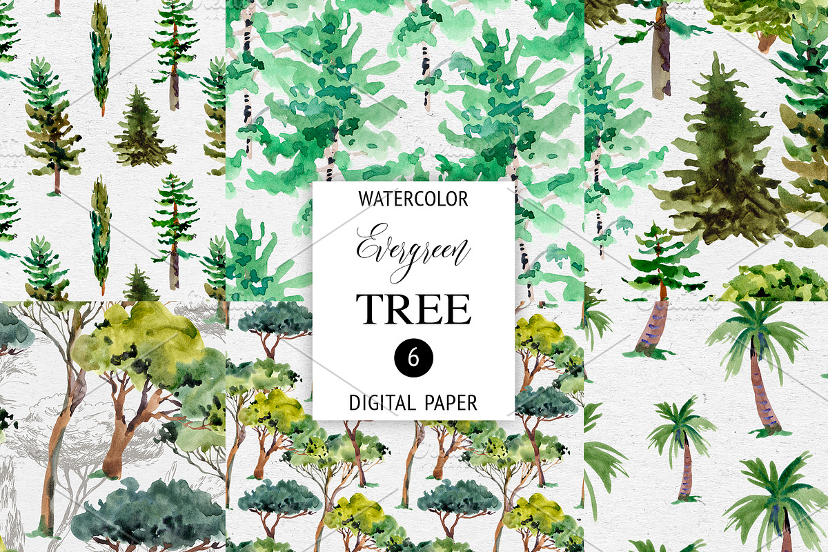 Watercolor Tree Clipart, an Illustration by Belusuab (Photo 6 of 10)