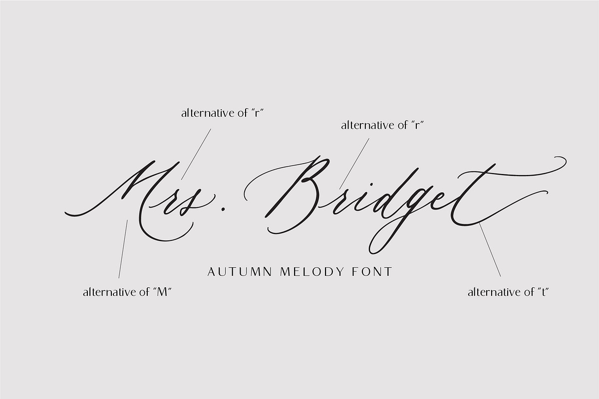Autumn Melody // Wedding Calligraphy, a Script Font by PeachCreme (Photo 4 of 20)