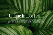 CleanHeart - Simple serif font, a Serif Font by BilberryCreates (Thumbnail 4 of 15)