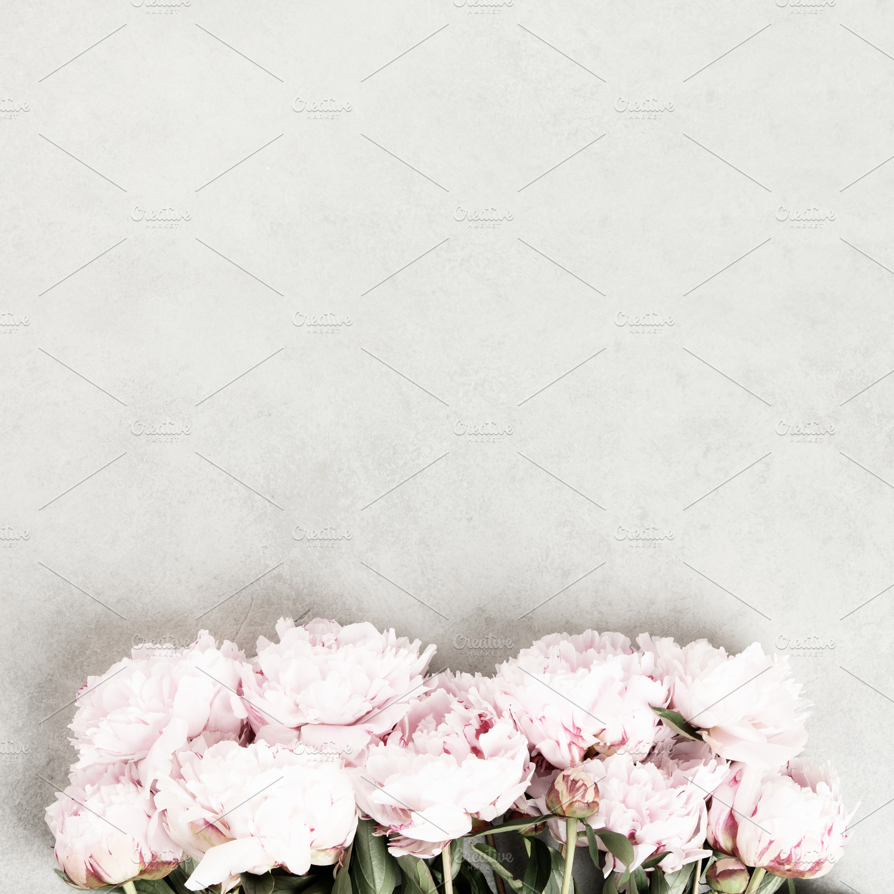 Soft Pink Peonies Border on Light Gray Background, a Beauty & Fashion Photo by Natalia Klenova's Shop