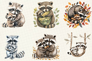 Watercolor Raccoon & Kit Clipart, an Illustration by OK Design (Thumbnail 3 of 5)