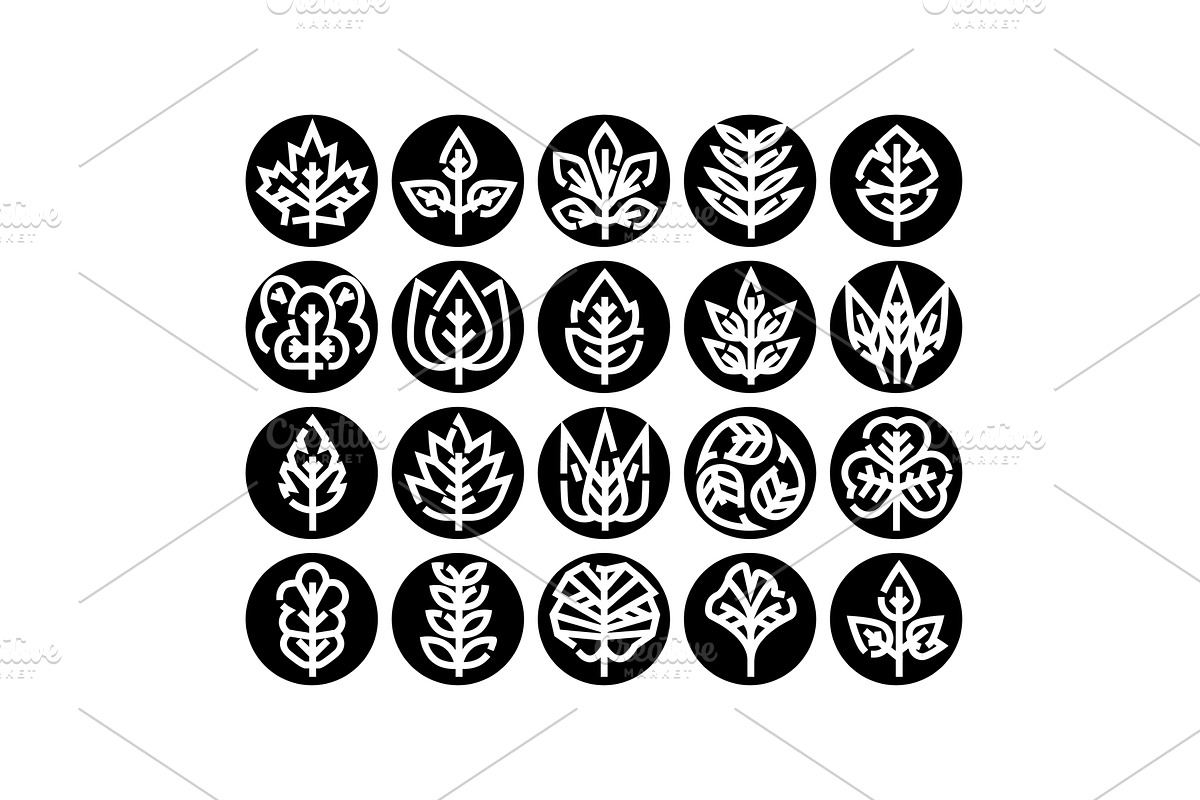 Collection of various nature leaf, an Object Illustration by pikepicture