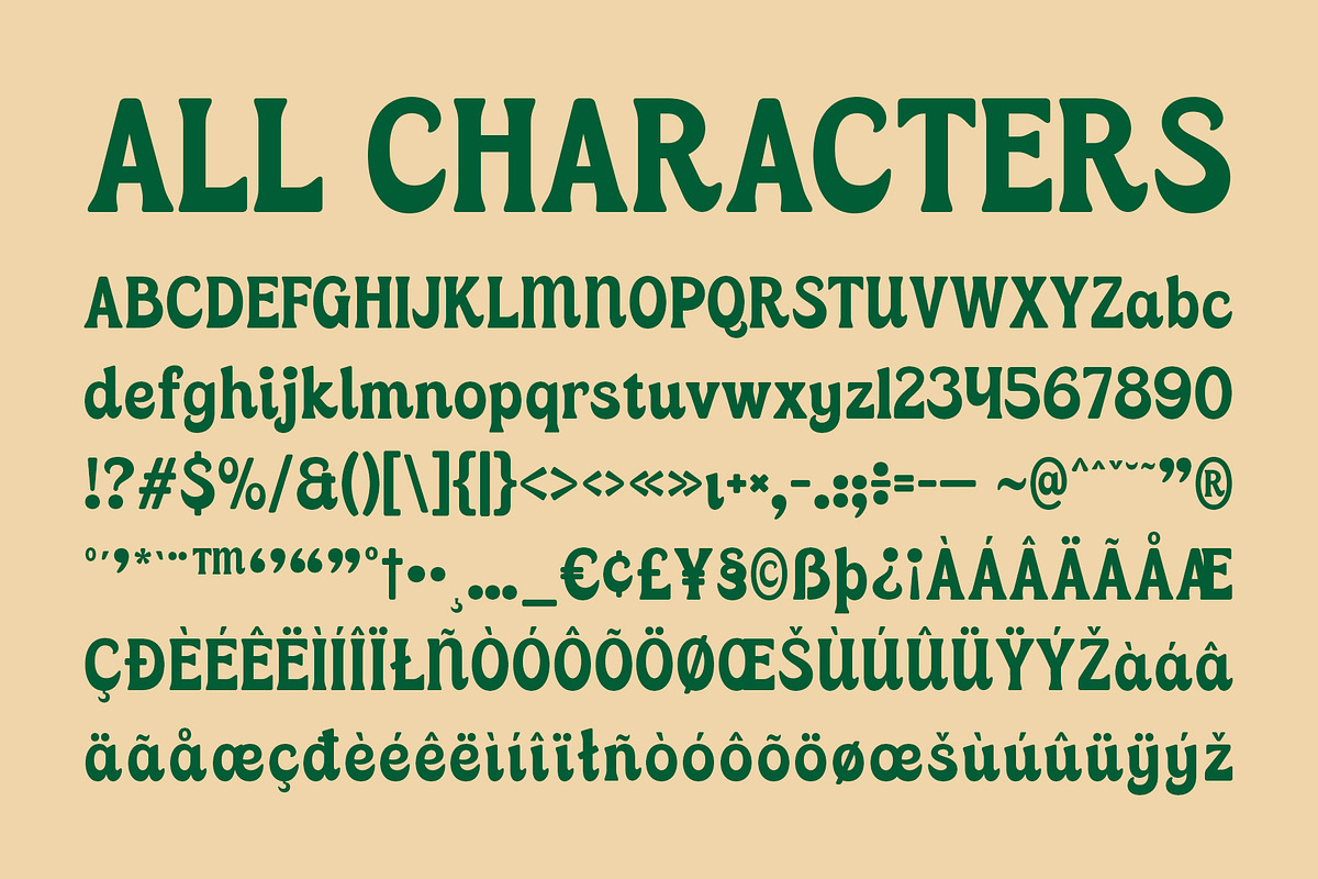 CS Cactus – Classic Font, a Serif Font by Craft Supply Co. (Photo 8 of 8)