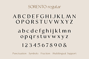 Sorento | Font Family, a Sans Serif Font by Larin Type Co. (Thumbnail 14 of 15)