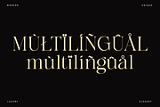 Gladier - A Modern Serif Font, a Serif Font by Comactype Foundry (Thumbnail 19 of 22)