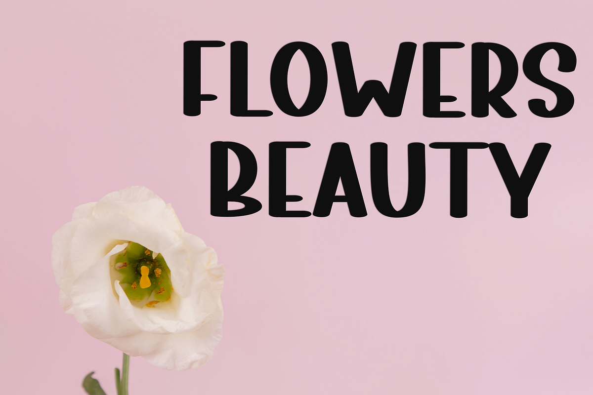 Varcity, a Script Font by InermediaSTUDIO (Photo 2 of 8)
