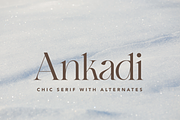 Ankadi Serif, a Serif Font by Creative Foundry (Thumbnail 1 of 8)