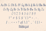 Palyrin – Blackletter Font Family, a Blackletter Font by NDNL Studio (Thumbnail 13 of 14)