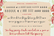 Briella Script, a Script Font by BlueRobinDesignShop (Thumbnail 6 of 6)