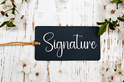 Delivery | Script Font, a Handwritten Font by Scratchones (Thumbnail 5 of 9)