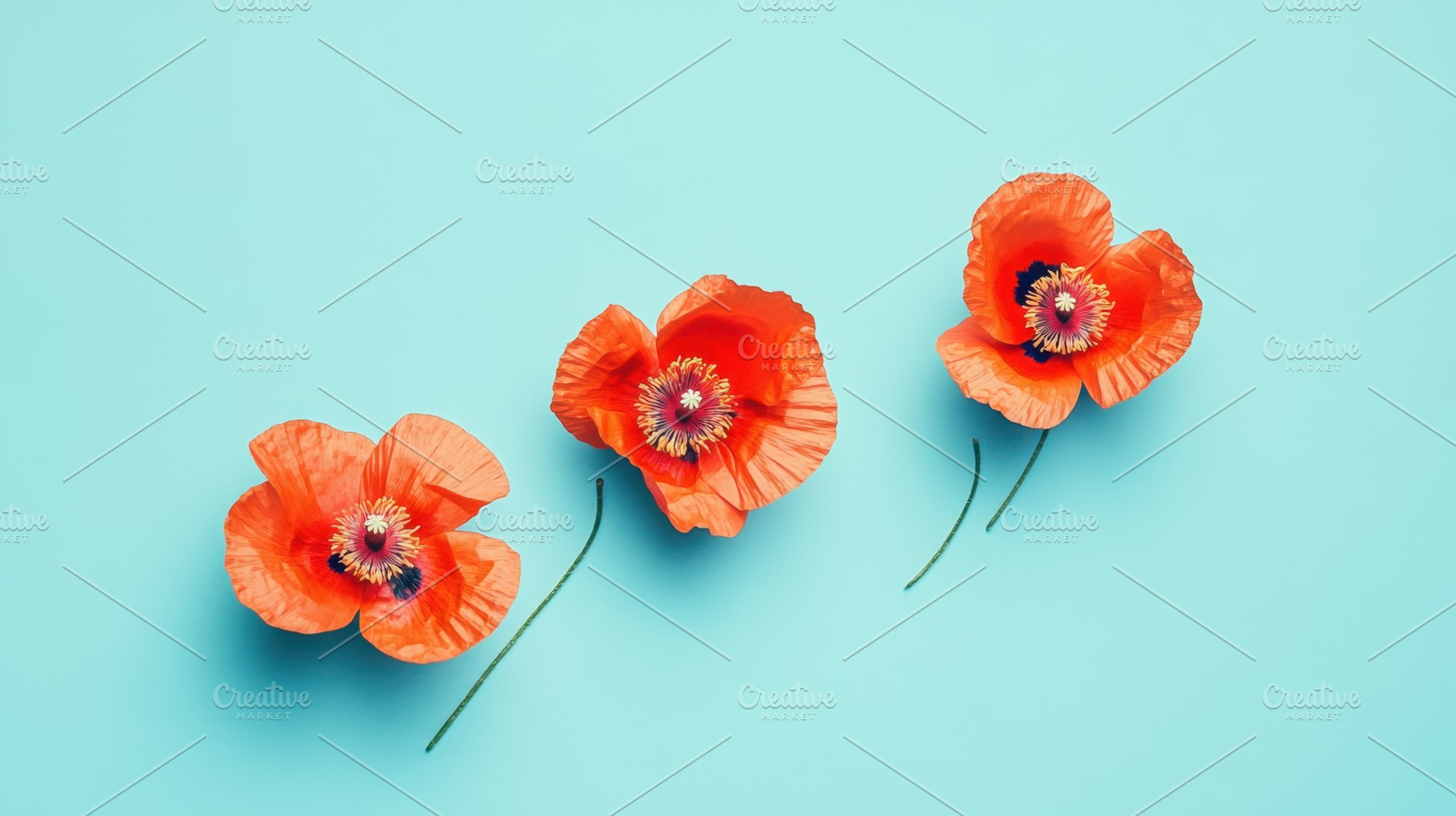 Orange poppies on blue, a Photo by Beautiful things