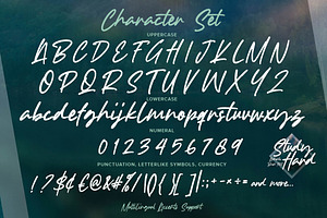 Study Hard - Authentic Brush Font