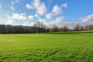 Expansive green park landscape under a bright blue sky with scat, a Photo by Studio ANNA