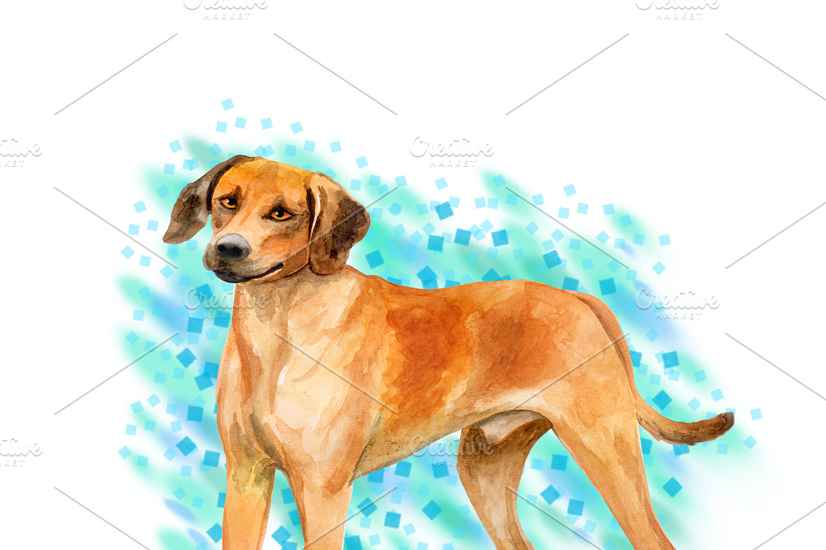 Watercolor Dogs Mega Big Bundle, an Illustration by Dneprstock (Photo 56 of 60)