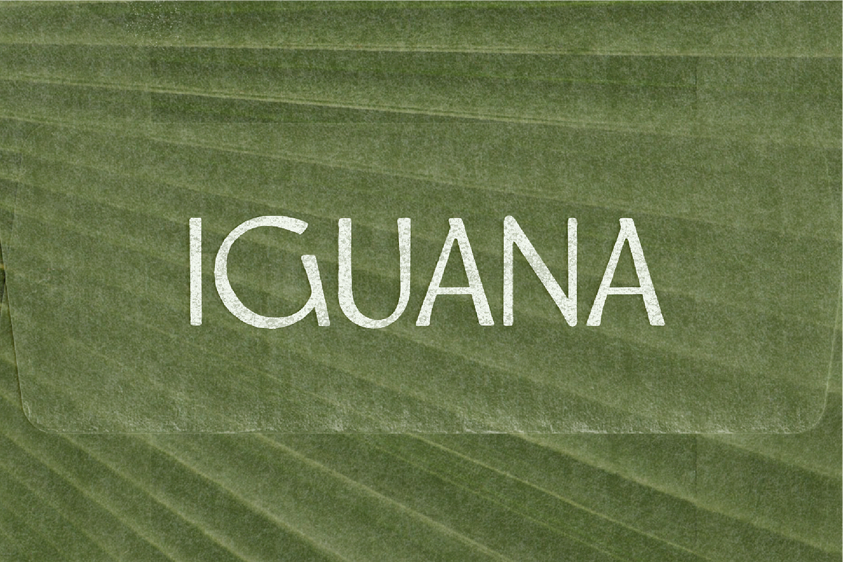 Iguana - Airy & Grounded Font by Meg, a Sans Serif Font by MEG BURK CHOI (Photo 1 of 3)