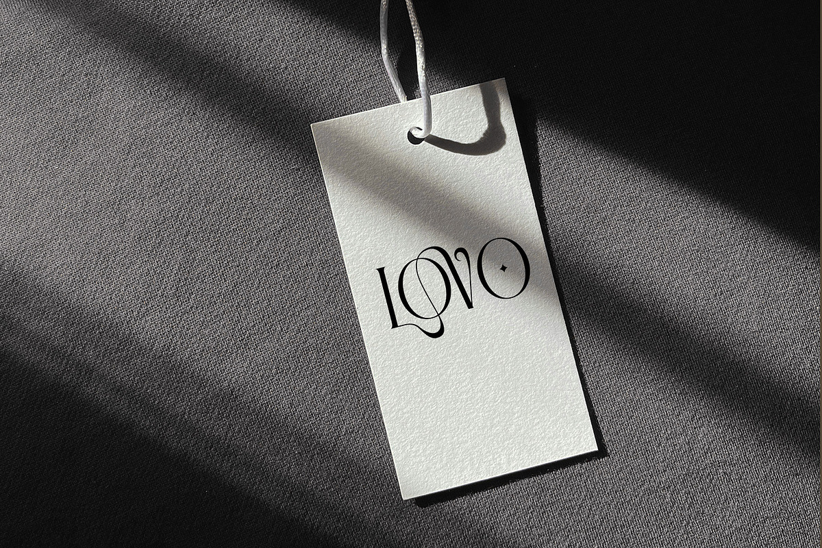 ELOVIA - Modern Ligature Typface, a Serif Font by AnnofaType (Photo 5 of 8)