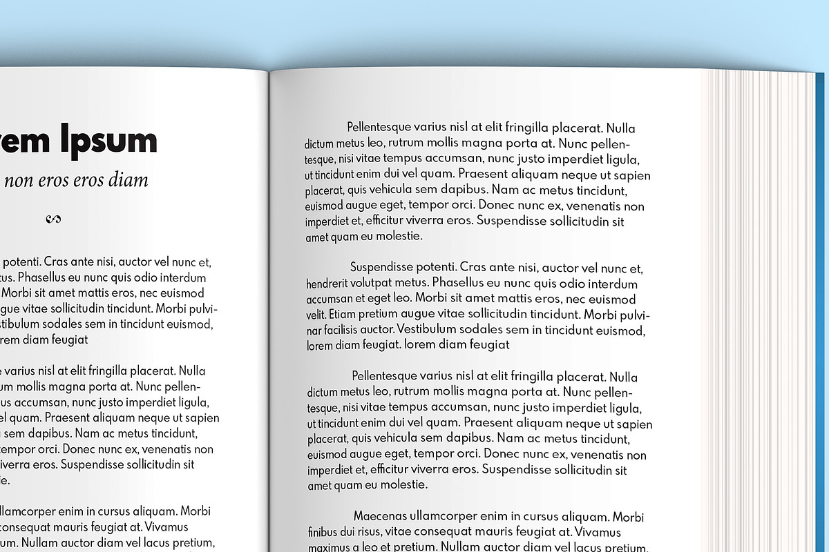 Mass Market Paperback Book Mockup, a Books & Magazine Mockup by Illusiongraphic (Photo 24 of 28)