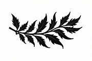 This elegant Leaf and Branch Botanic, an Illustration by Amazin_art (Thumbnail 2 of 21)