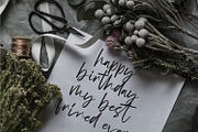 Angelwine - Handwritten Font, a Script Font by StringLabs (Thumbnail 7 of 13)