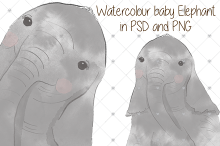 Watercolour, Baby, Elephant, Zoo,