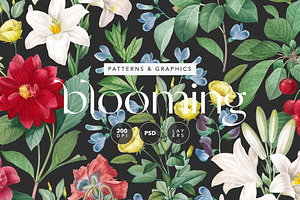 Bloom Floral English Pattern