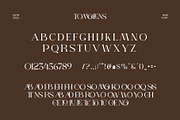 Tomolens Elegant Ligature Serif Font, a Serif Font by Perfectype (Thumbnail 5 of 6)