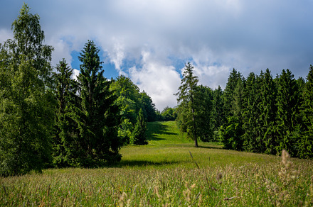 Spring meadow view in Austrian Alps, a Nature Photo by Millenn Photography