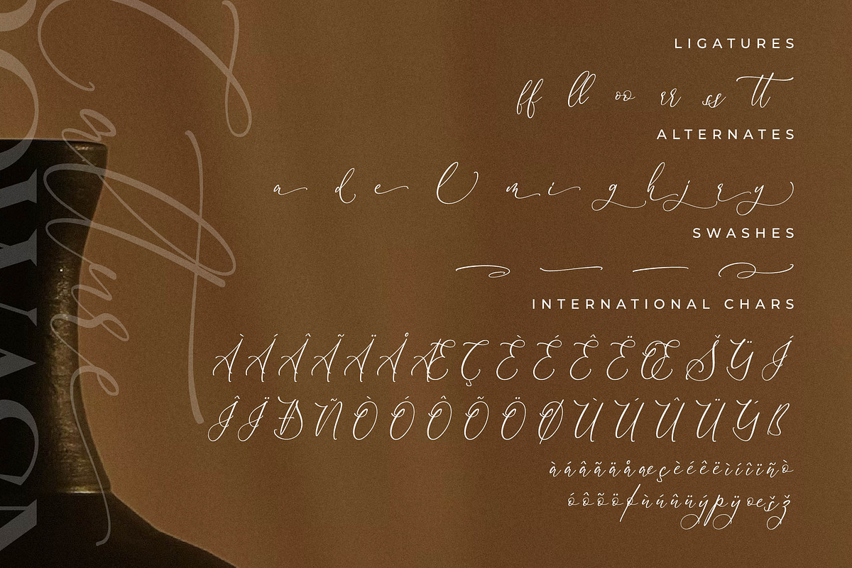 Calture Rowasn Font Duo, a Font by Storytype Studio (Photo 14 of 15)