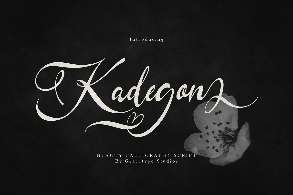 Kadegon | Beauty Calligraphy Script, a Script Font by gracetype_studio (Photo 1 of 12)