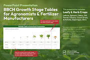 BBCH Growth Stages, Leafy & Herbs, a Presentation Template by Ilia Design (Thumbnail 1 of 9)